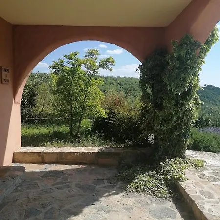Appartement Apartma Cedole Chabby Chick Piran