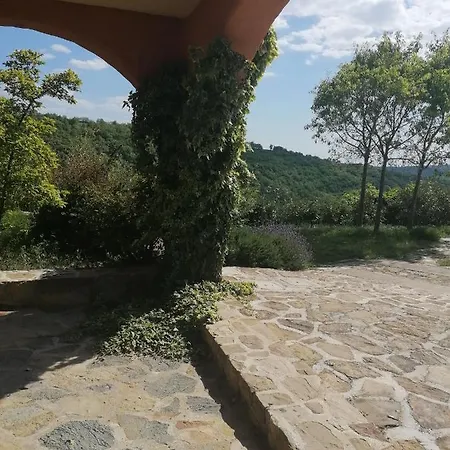 Apartma Cedole Chabby Chick Piran