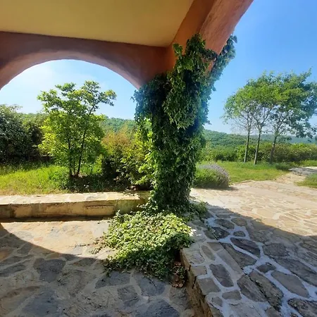 Apartma Cedole Chabby Chick Apartman Piran