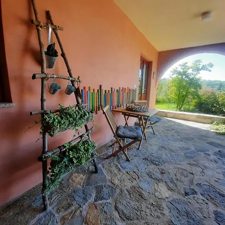 Apartma Cedole Chabby Chick