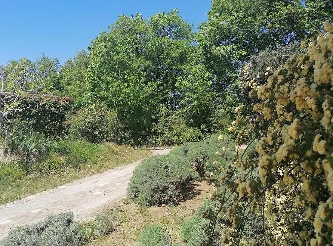 Apartma Cedole Chabby Chick