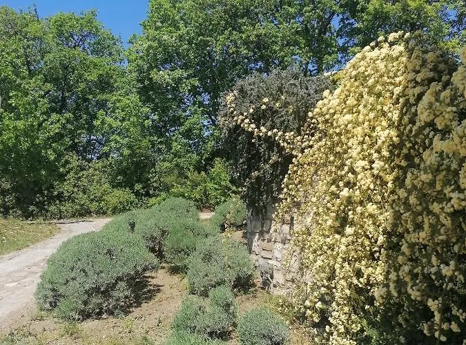 Apartma Cedole Chabby Chick Lejlighed *