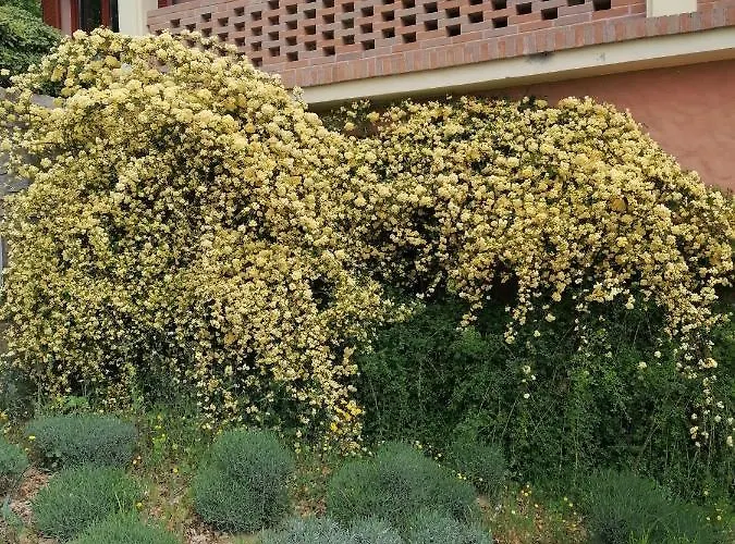 Lejlighed Apartma Cedole Chabby Chick *